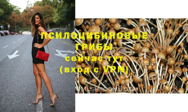 кокс Баксан