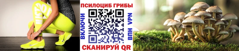 omg ССЫЛКА  Теберда  Галлюциногенные грибы Magic Shrooms  как найти закладки 